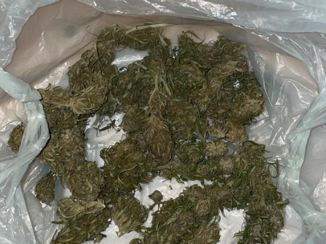 Dos personas aprehendidas por transportar marihuana